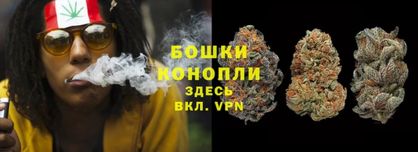 ECSTASY Белокуриха