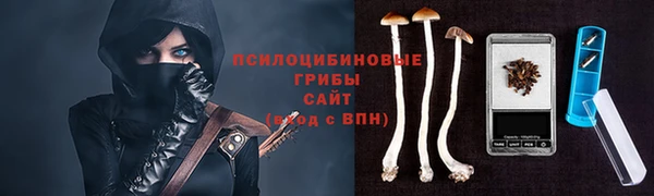 эйфоретик Беломорск