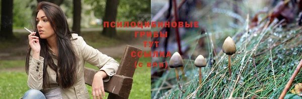 эйфоретик Беломорск