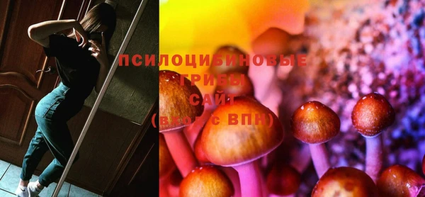 стафф Белоозёрский